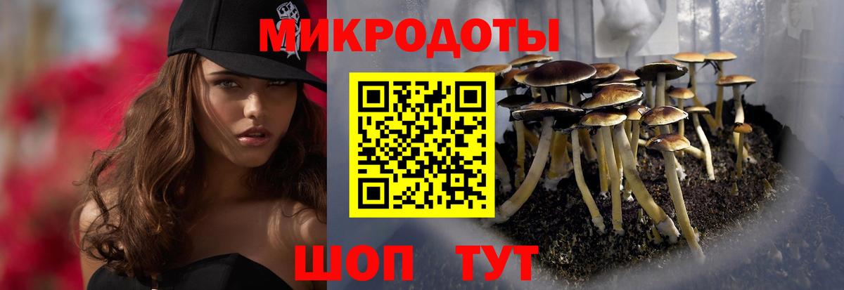 Псилоцибиновые грибы GOLDEN TEACHER  Вход с VPN  Сатка 